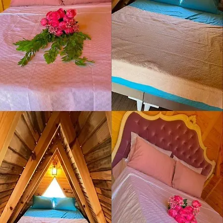 Oda ve Kahvaltı La Bella Bungalow Antalya